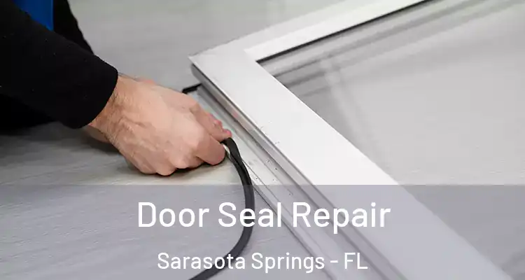  Door Seal Repair Sarasota Springs - FL