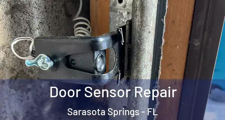  Door Sensor Repair Sarasota Springs - FL