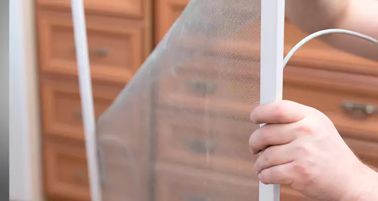 Privacy Mesh Screen Door Installation in Sarasota Springs, FL