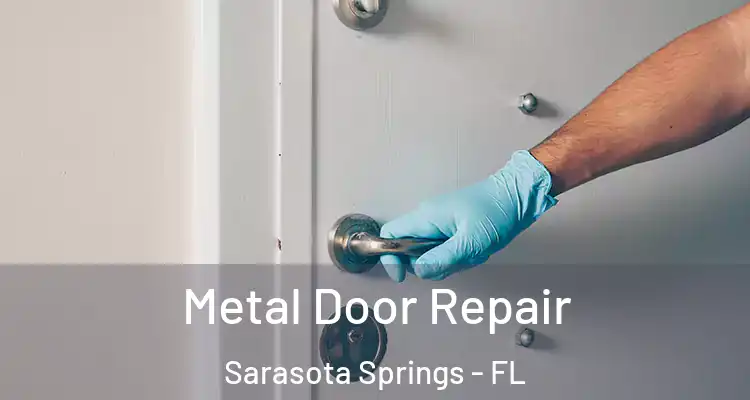  Metal Door Repair Sarasota Springs - FL