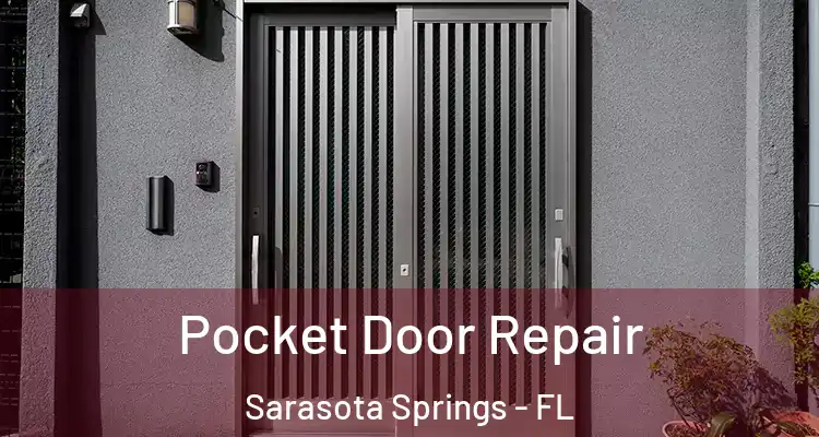 Pocket Door Repair Sarasota Springs - FL